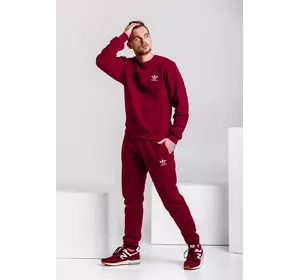 Зимний мужской спортивный костюм - бордовый теплый свитшот, бордовые теплые штаны (с лого любого бренда)