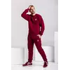 Зимний мужской спортивный костюм - бордовый теплый свитшот, бордовые теплые штаны (с лого любого бренда)
